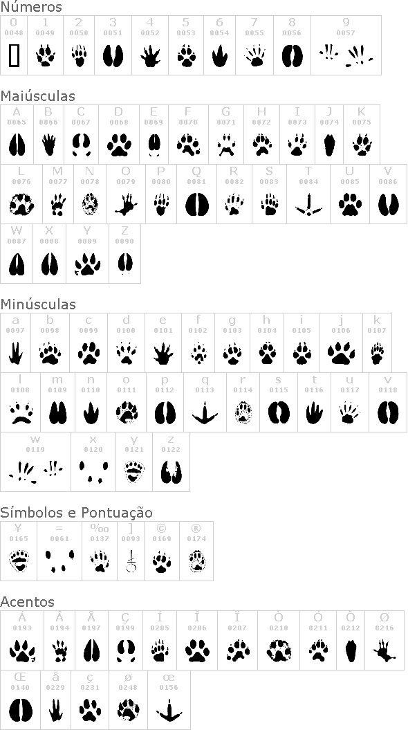 Animal Tracks